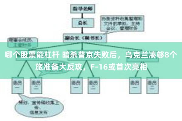 哪个股票能杠杆 暗杀普京失败后，乌克兰凑够8个旅准备大反攻，F-16或首次亮相