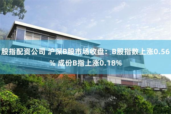 股指配资公司 沪深B股市场收盘：B股指数上涨0.56% 成份B指上涨0.18%