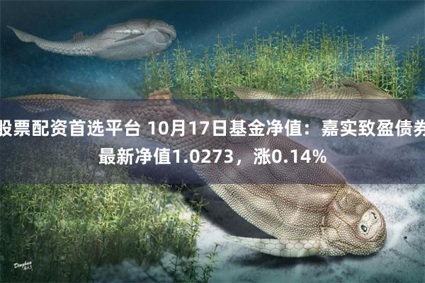 股票配资首选平台 10月17日基金净值：嘉实致盈债券最新净值1.0273，涨0.14%