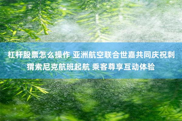 杠杆股票怎么操作 亚洲航空联合世嘉共同庆祝刺猬索尼克航班起航 乘客尊享互动体验