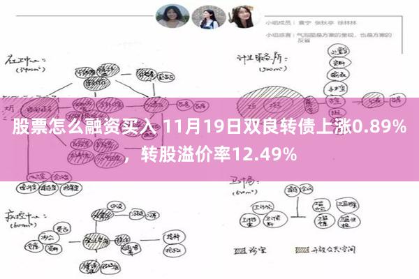 股票怎么融资买入 11月19日双良转债上涨0.89%，转股溢价率12.49%