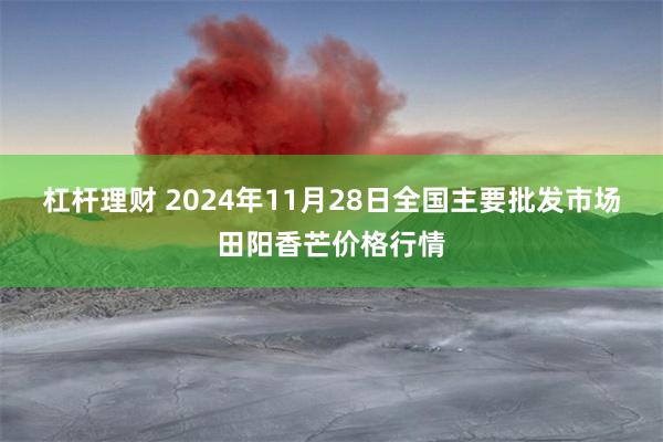 杠杆理财 2024年11月28日全国主要批发市场田阳香芒价格行情