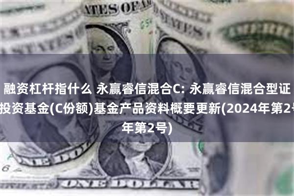 融资杠杆指什么 永赢睿信混合C: 永赢睿信混合型证券投资基金(C份额)基金产品资料概要更新(2024年第2号)