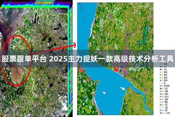 股票跟单平台 2025主力捉妖一款高级技术分析工具